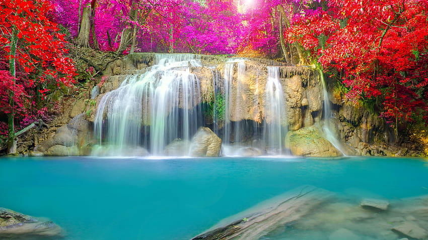 Parc naturel Rainbow Spring, cascade pittoresque Fond d'écran HD