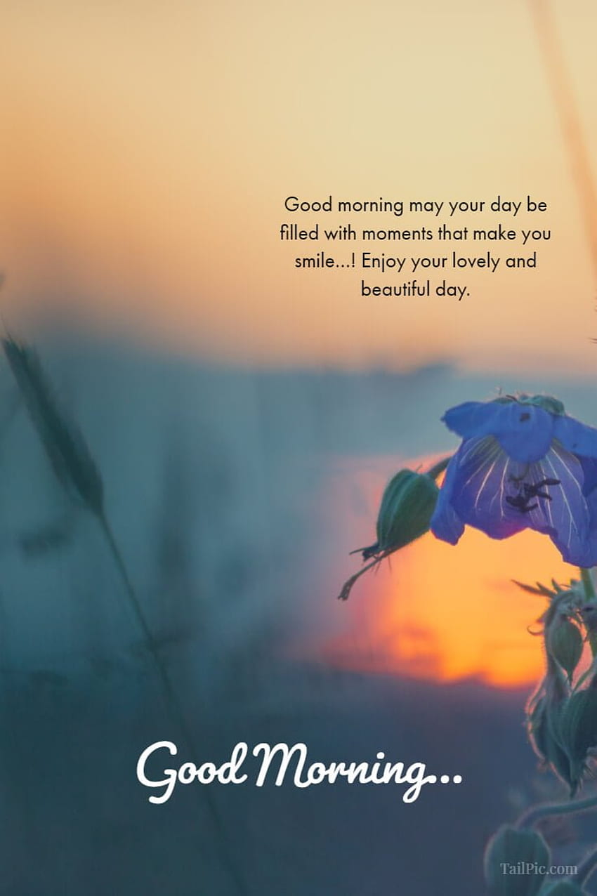 Inspirational Good Morning Quotes and Wishes with Beautiful – TailPic HD phone wallpaper