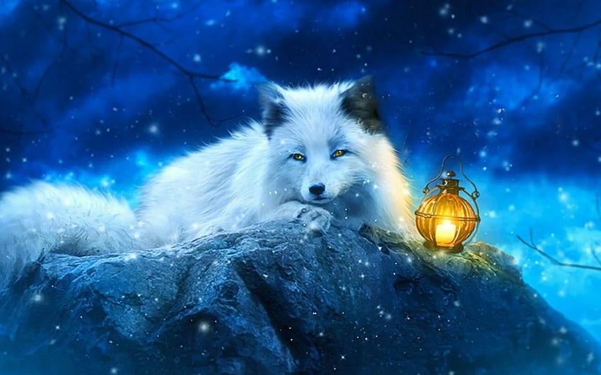 Arctic Fox (Vulpes lagopus) Dimensions & Drawings | Dimensions.com