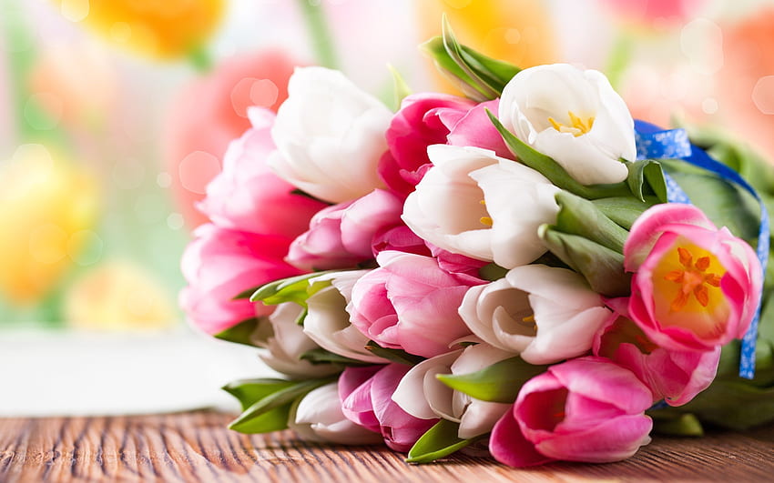 Bouquet de tulipes colorées, Tulipes colorées Fond d'écran HD