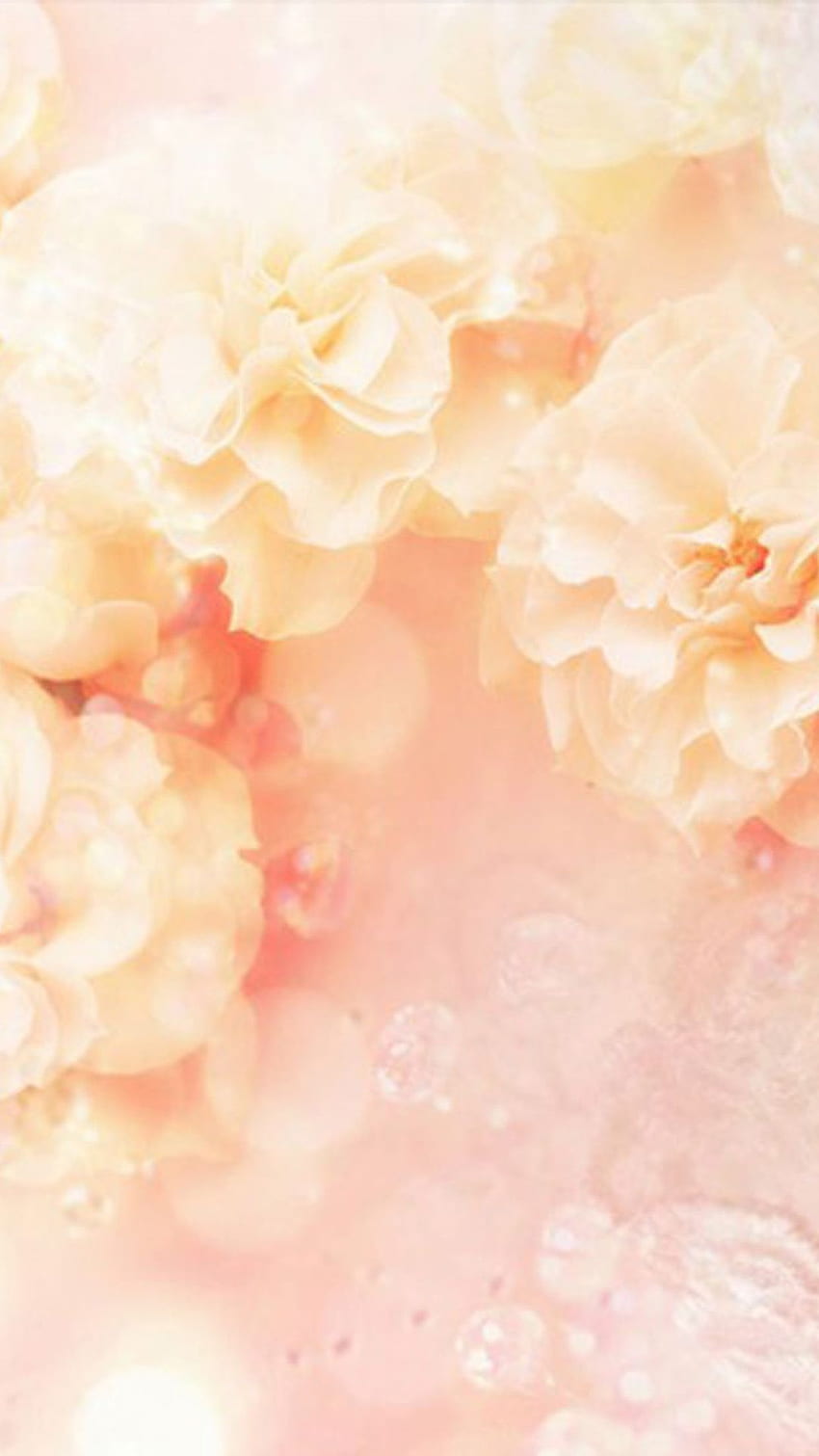 Ингрид Амая на ✿ Pretty Peach Blush. Изкуство на цветя, S5, цифрови цветя, прасковени цветя HD тапет за телефон