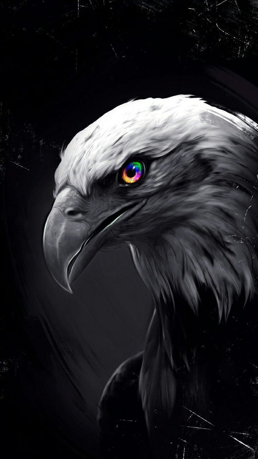Fondo de pantalla . Eagle , Wild animal , Eagle, Eagle and Lion HD phone wallpaper