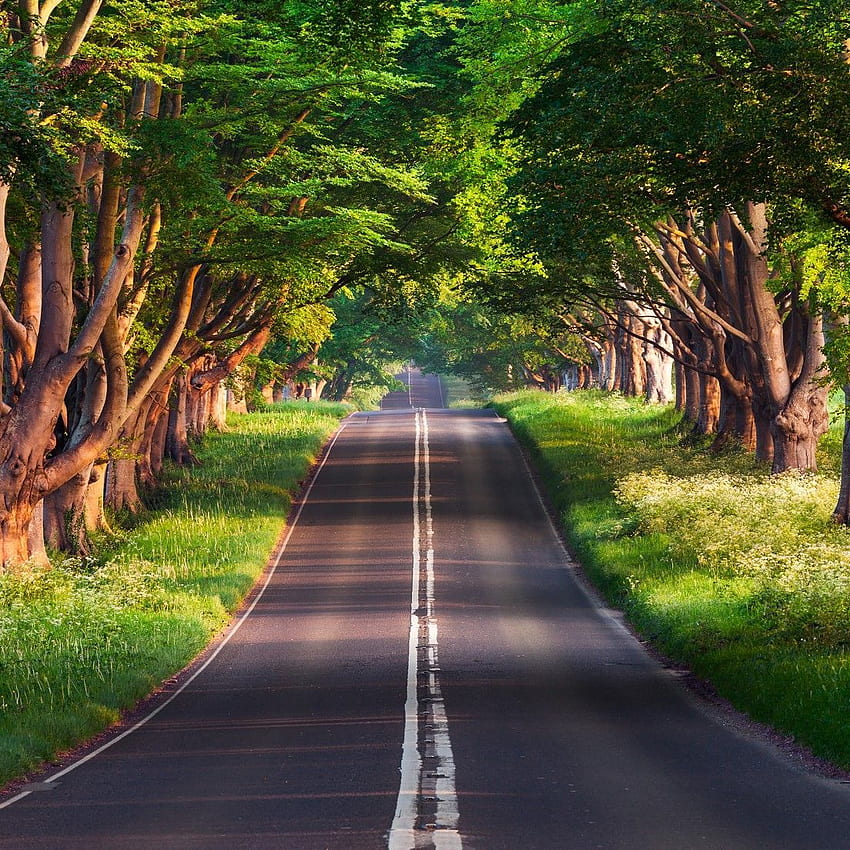Hilly road. , Beautiful roads, iPad HD phone wallpaper | Pxfuel