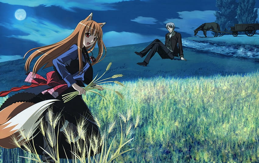 Holo and Lawrence, spice and wolf, lawrence, anime, wheat field, holo HD wallpaper