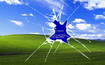 49+] Windows XP Original Wallpaper - WallpaperSafari