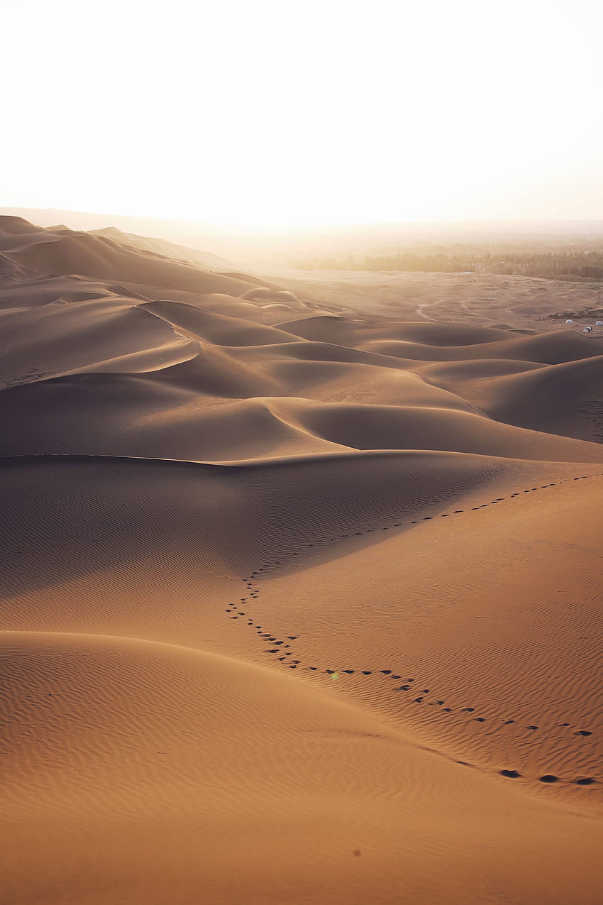 Landscape, Nature, Sand, Desert, Traces, Dunes, Links HD phone wallpaper