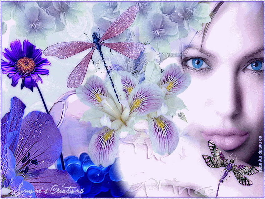 dragonfly, blue, iris, flowers, dream HD wallpaper