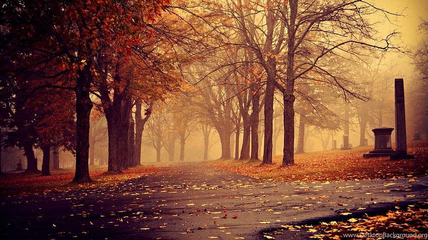 霧の秋、霧の秋iPhone。 バックグラウンド 高画質の壁紙