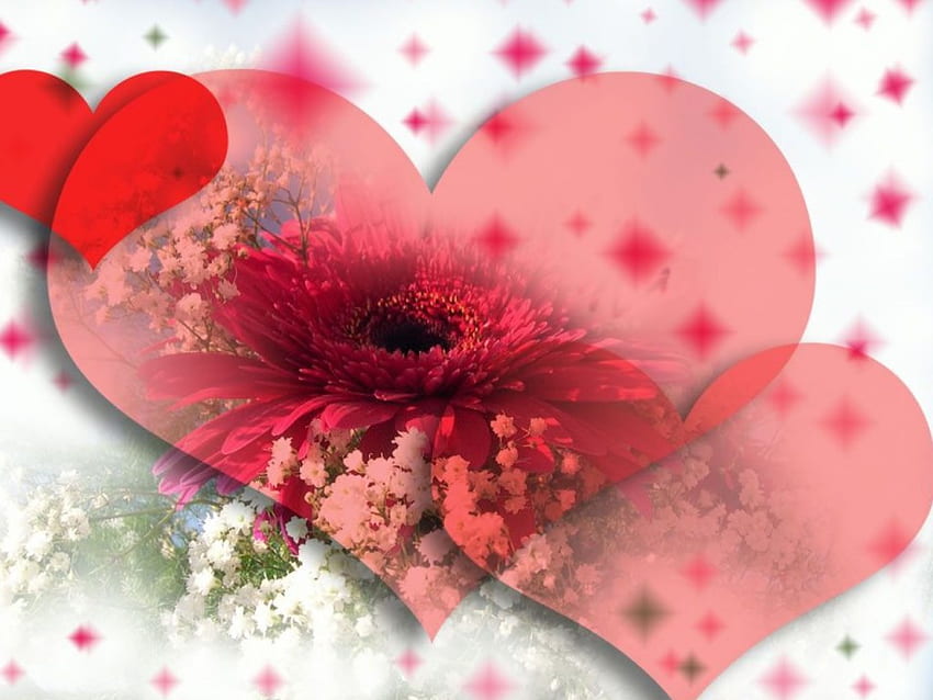 corações com flores, corações, flor papel de parede HD