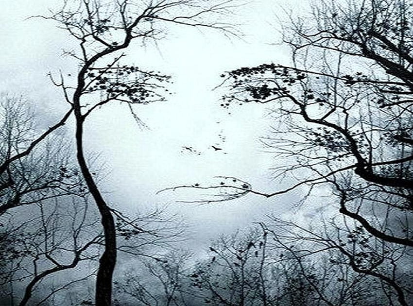 Face in the trees, branches, trees, face, black and white HD wallpaper