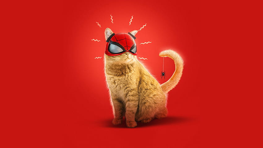 Spider Cat Spider Man Miles Morales Art , 게임, 배경, 애니멀 맨 HD 월페이퍼