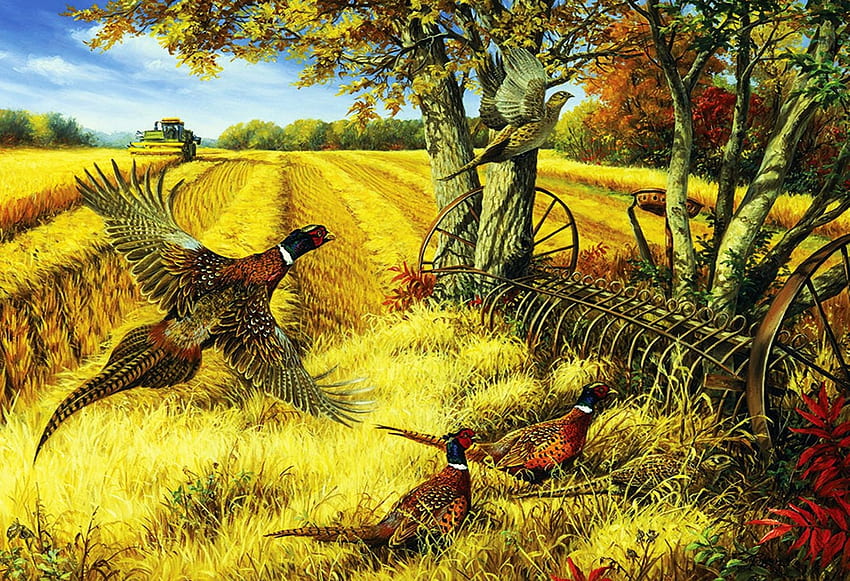 Ring-Necked Pheasants, trees, fields, sky, birds, painting HD wallpaper
