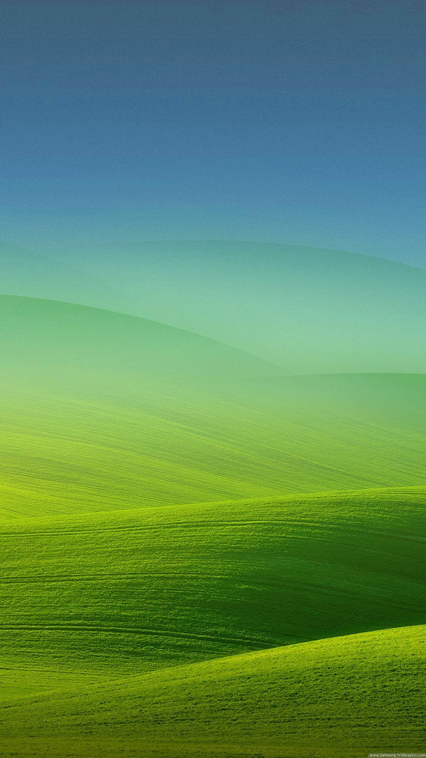 sur les verts pâturages en 2020. Paysage , Beau paysage , Paysage verdoyant Fond d'écran de téléphone HD