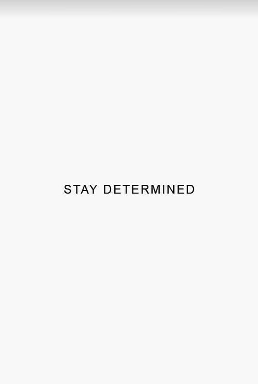 Stay determined HD wallpapers  Pxfuel