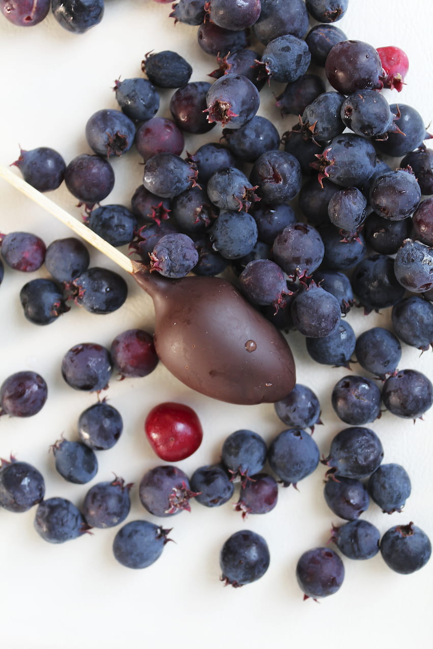 Blueberries, drops, chocolate lollipop, fresh HD phone wallpaper
