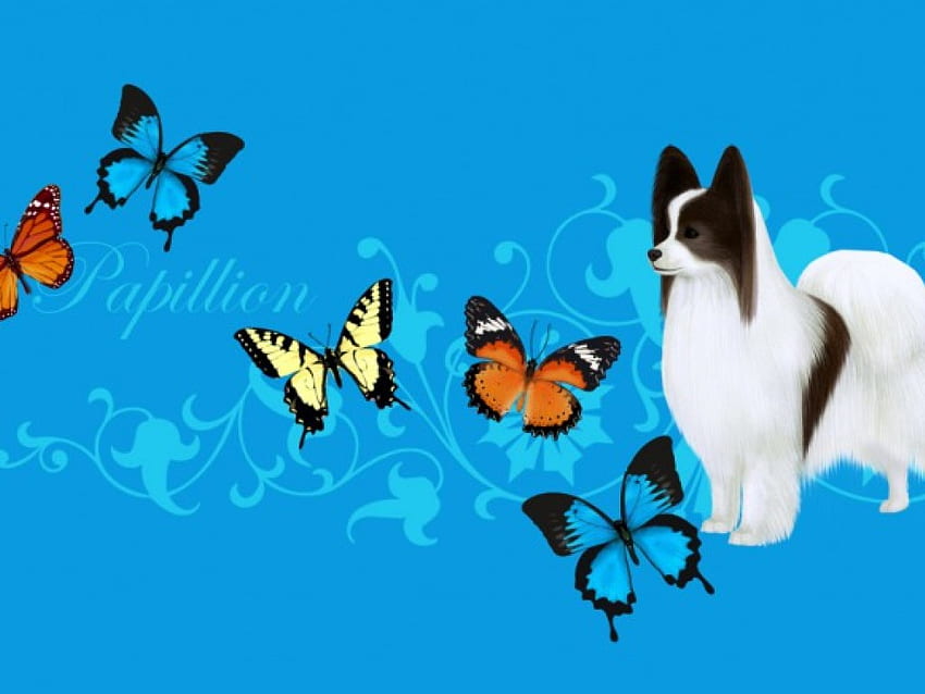 Papillion and Butterflies, สุนัข, ผีเสื้อ, papillion, swirls วอลล์เปเปอร์ HD