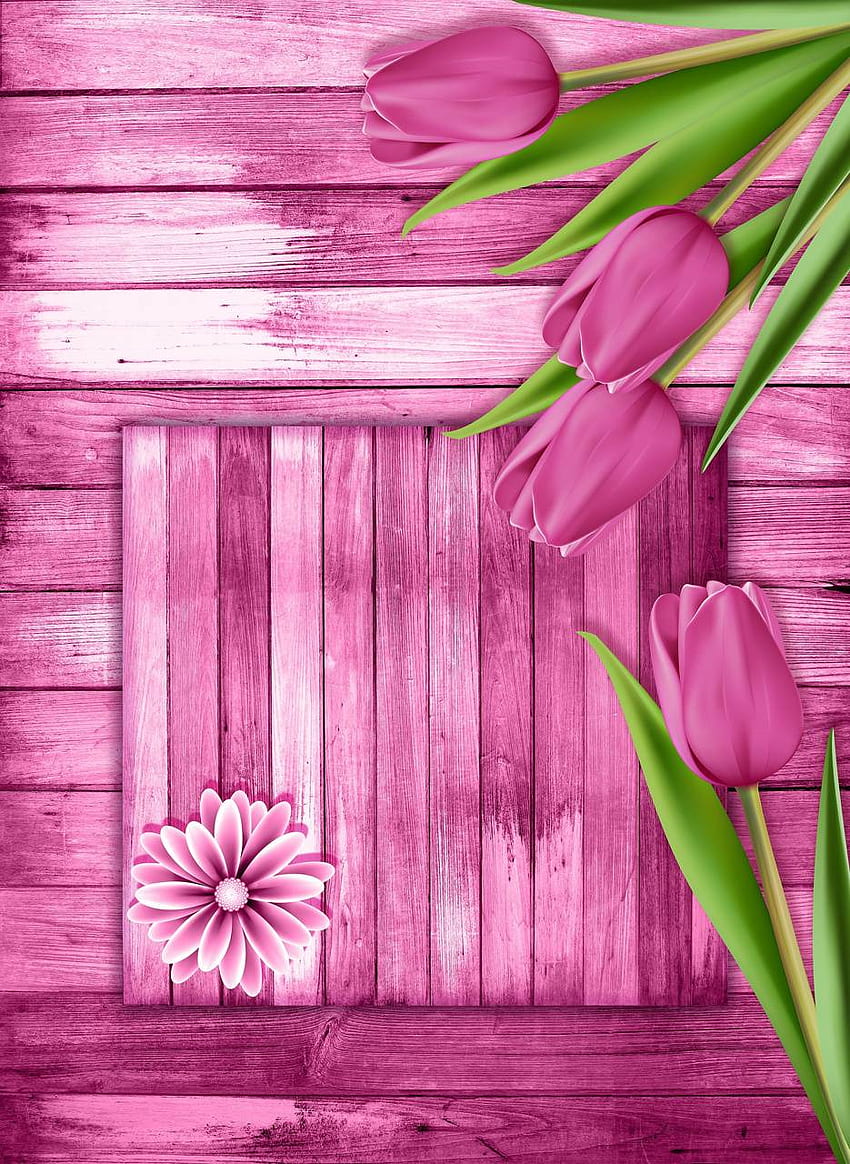 Pink Wood HD phone wallpaper