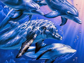Dolphin 3d HD wallpapers | Pxfuel