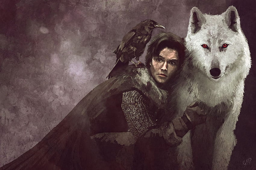 Jon Snow & Ghost - Le Trône de Fer HD wallpaper