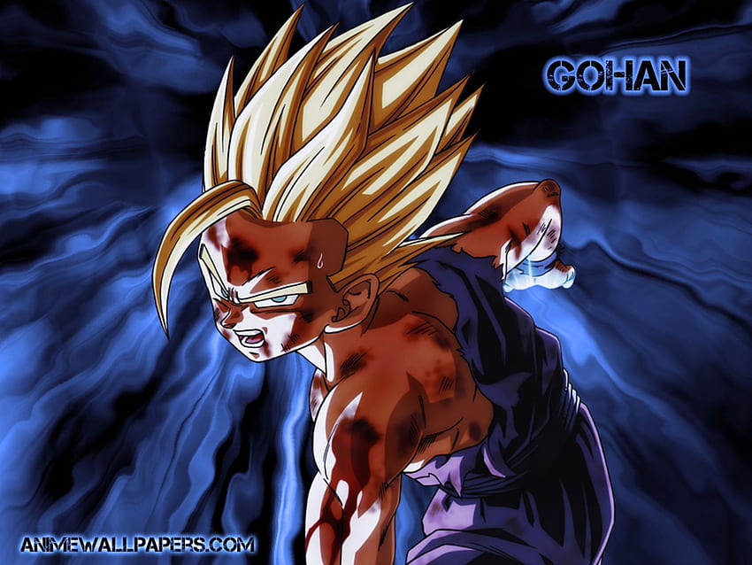 Goku ssj2, goku ss2 HD phone wallpaper