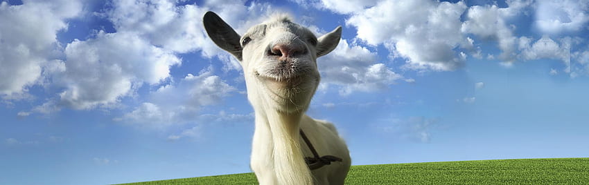 Goat Simulator HD wallpaper
