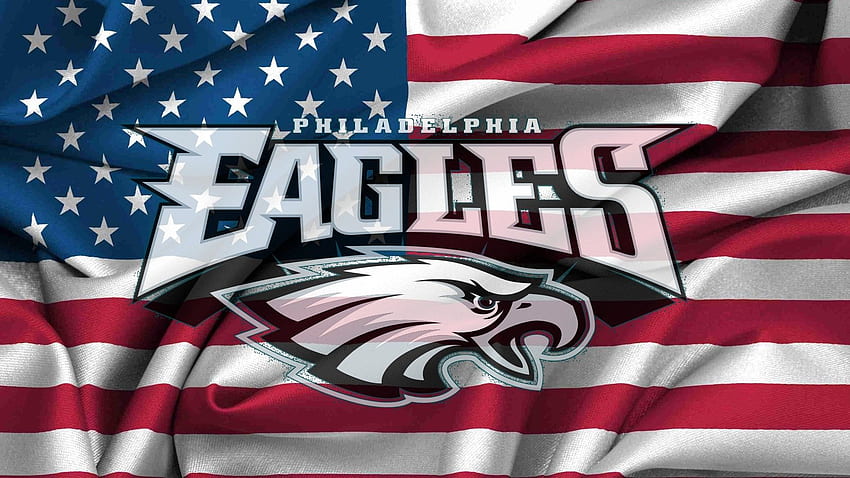 philadelphia eagles flag with pole