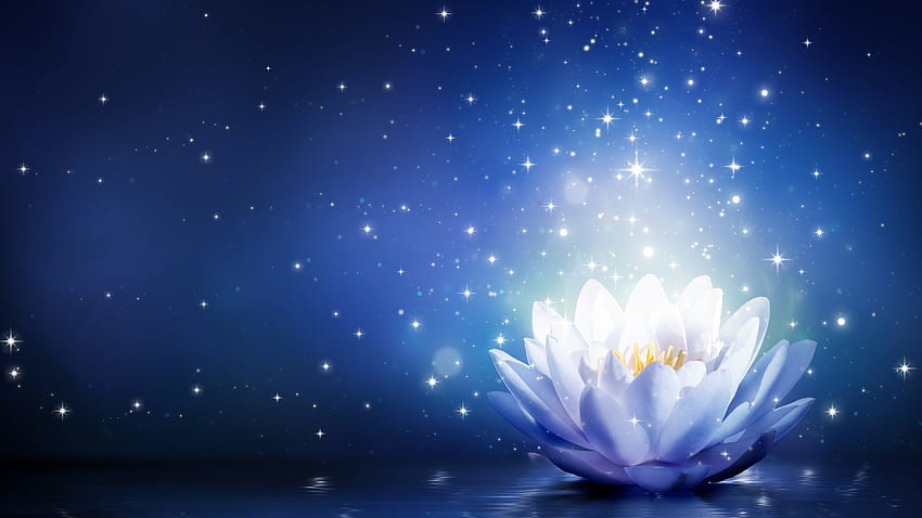 Flor de lótus branca animada com fundo azul - . . Alta resolução, Lotus Yoga papel de parede HD