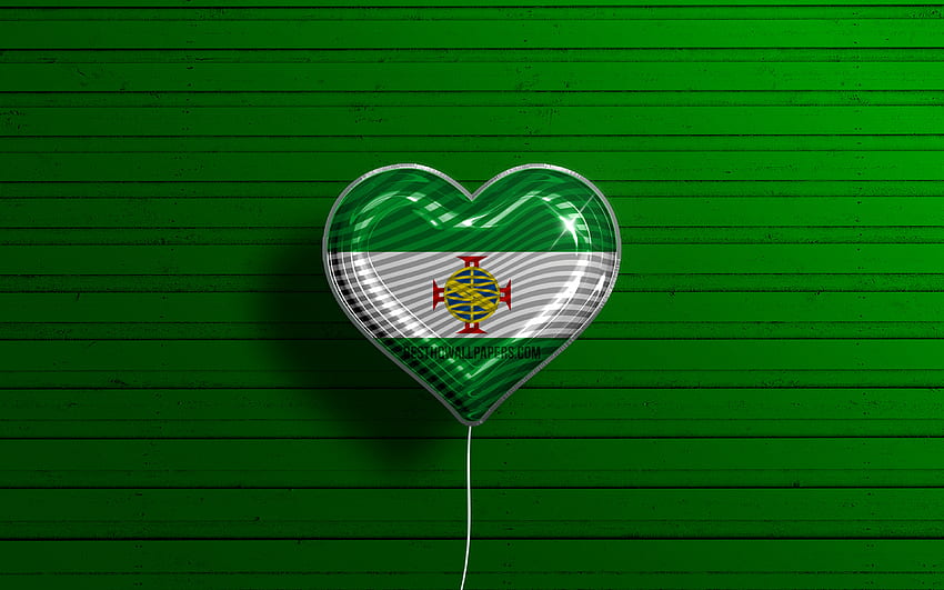 Saya Suka Cisplatina,, balon realistis, latar belakang kayu hijau, negara bagian Brasil, bendera Cisplatina, Brasil, balon dengan bendera, Negara Bagian Brasil, bendera Cisplatina, Cisplatina, Hari Cisplatina Wallpaper HD