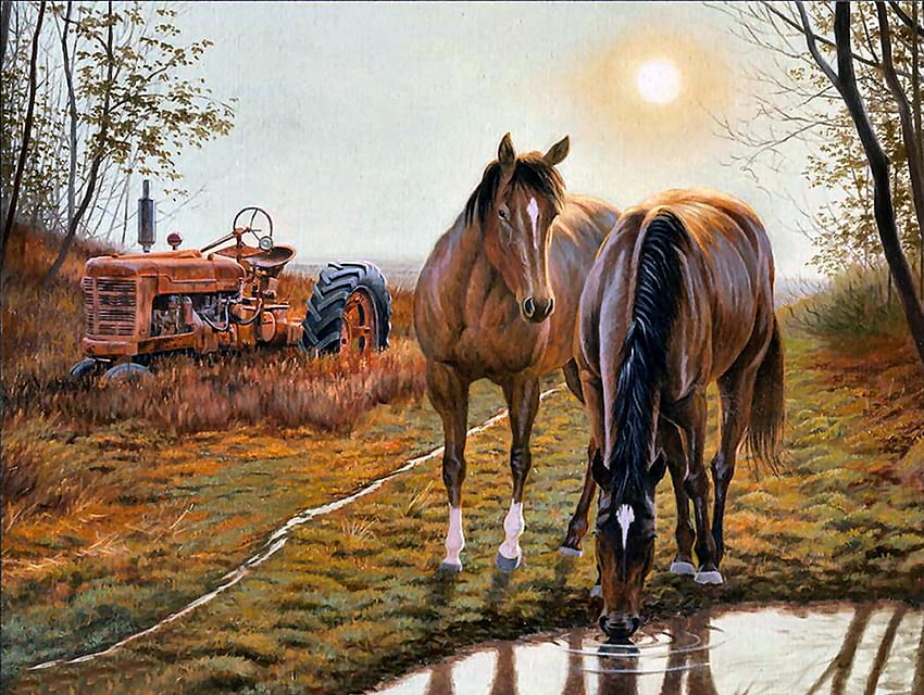 Old Farm Hands - Horses, animal, cavalo, arte, linda, ilustração, obra de arte, tela larga, pintura, equino, trator papel de parede HD