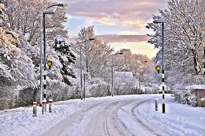 Winter, trees, road, snow HD wallpaper