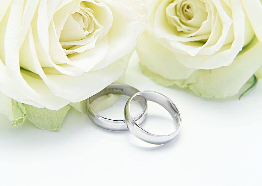 wedding rings with flowers view full gallery of new wedding rings and flowers Weddi. Wedding ring , Rose wedding rings, Wedding invitation postage HD wallpaper