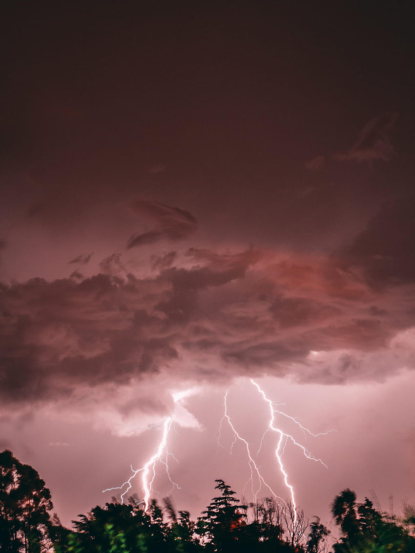 Nature, Trees, Pink, Lightning, Storm, Thunderstorm HD phone wallpaper