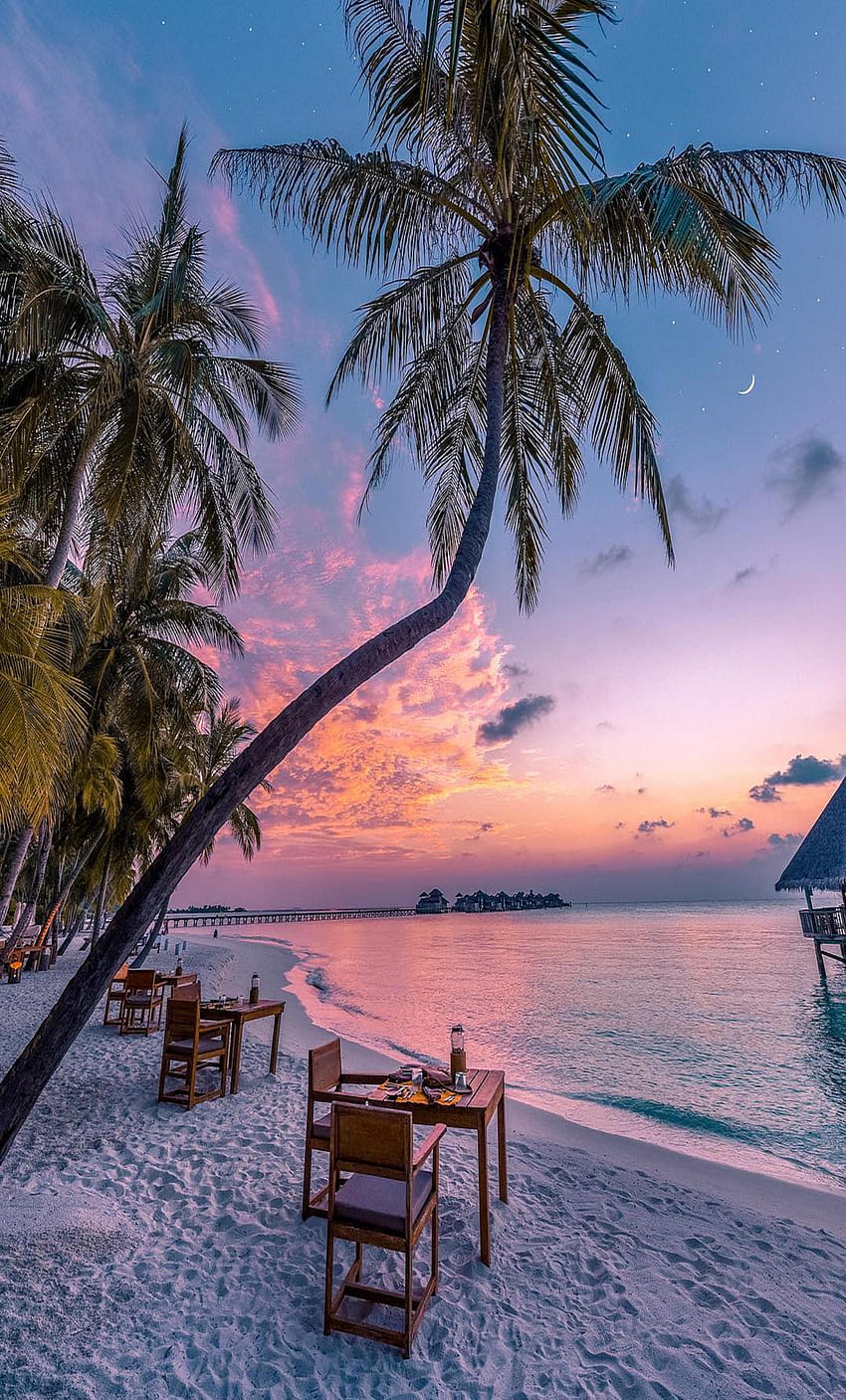 モルディブ - 私の一番の旅行先。 旅行する美しい場所, ロマンチックな島での休暇, 夢の休暇, 島の雰囲気 HD電話の壁紙