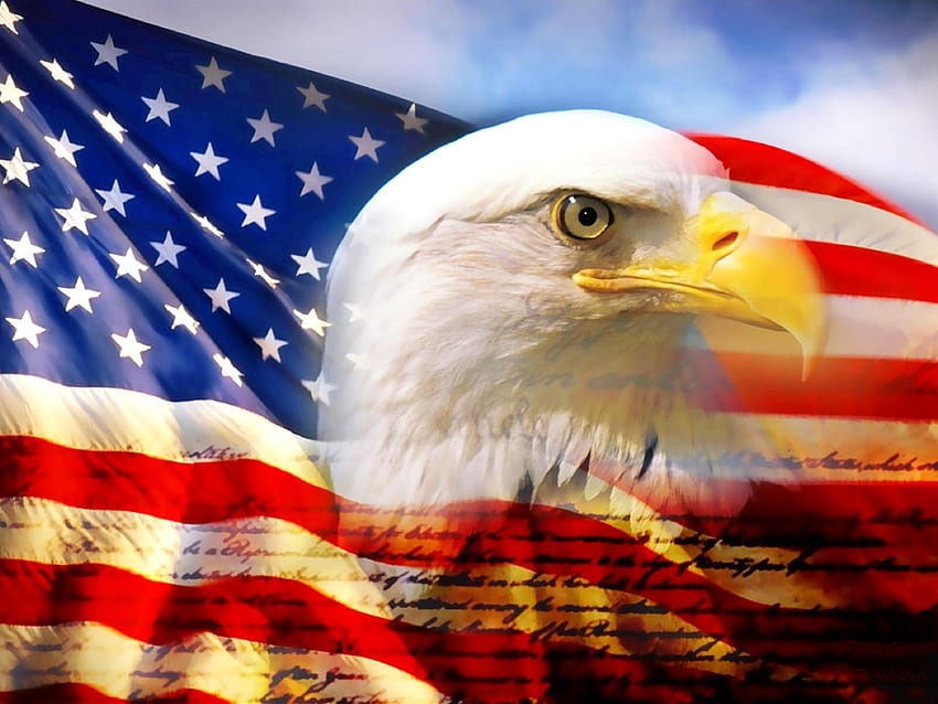 Bald Eagle American Flag Gallery HD wallpaper