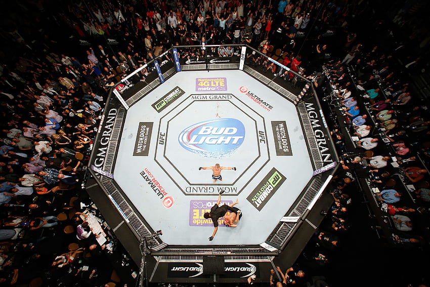 Objektifin arkası: UFC g'nin favori kareleri, UFC Cage HD duvar kağıdı