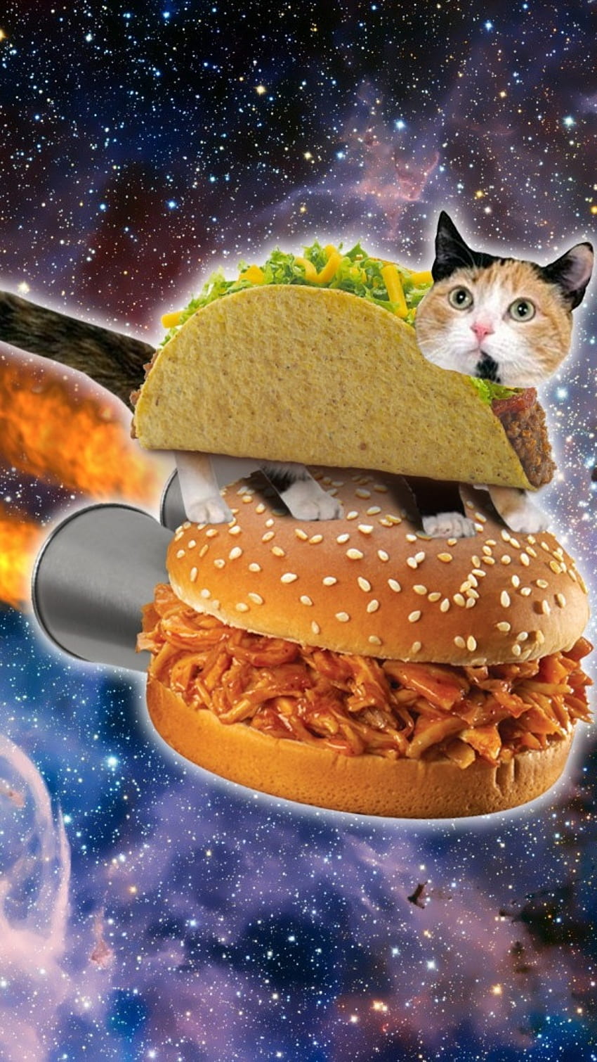 Funny Memes, Galaxy Cat, Pizza HD phone wallpaper