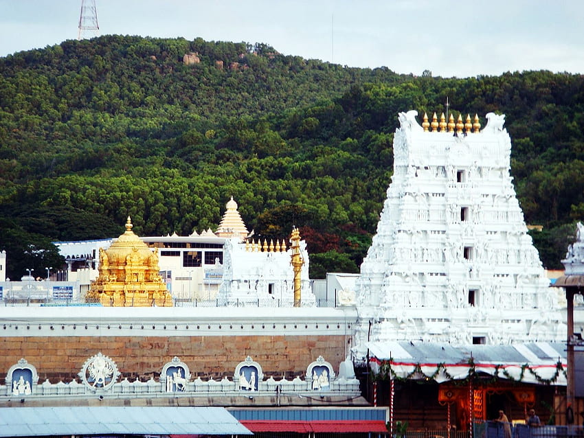 Tirupati Balaji, Tirupati Balaji Temple, Tirupati Balaji Tour Packages HD wallpaper