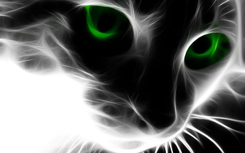 Cats Catfor Daha Fazla Özet İçin [] , Mobil ve Tabletiniz için. 3D Cat'i keşfedin. Çılgın Kediler ve Köpekler, Sevimli Kedi, 3D Uzay Kedisi HD duvar kağıdı