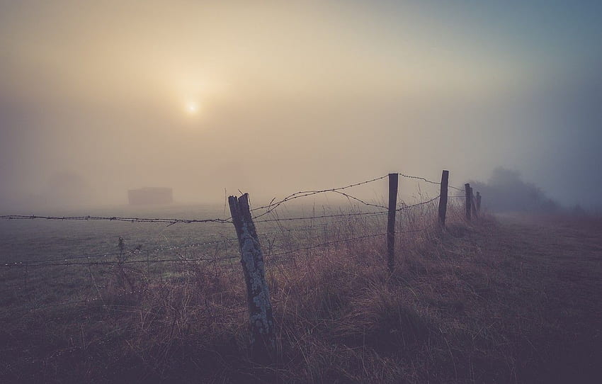 misty, field, morning, fog, fence, sunrise, dawn, drops HD wallpaper