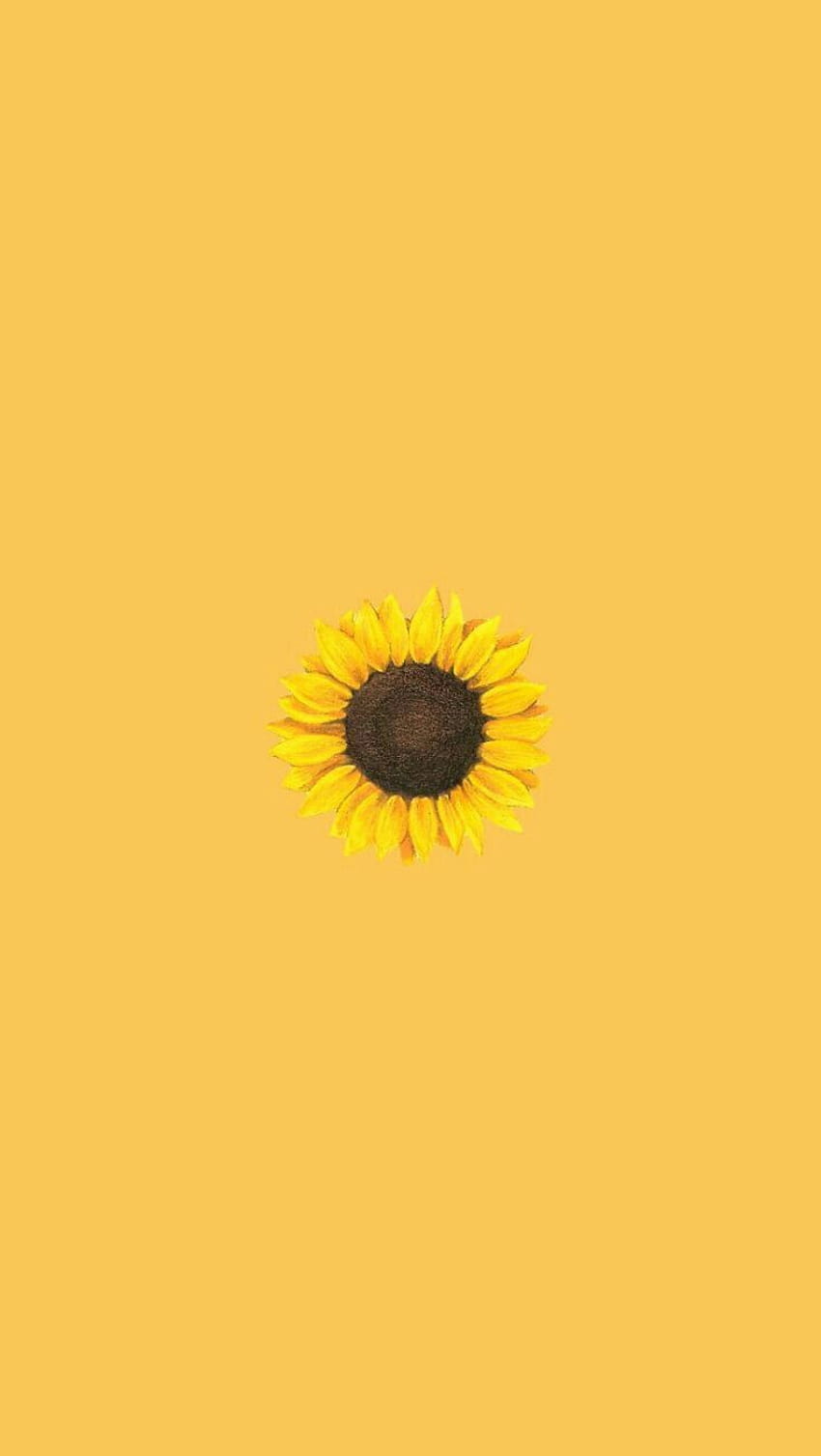 Cute Aesthetic Sunflower – hit, Cute Yellow Aesthetic HD phone wallpaper