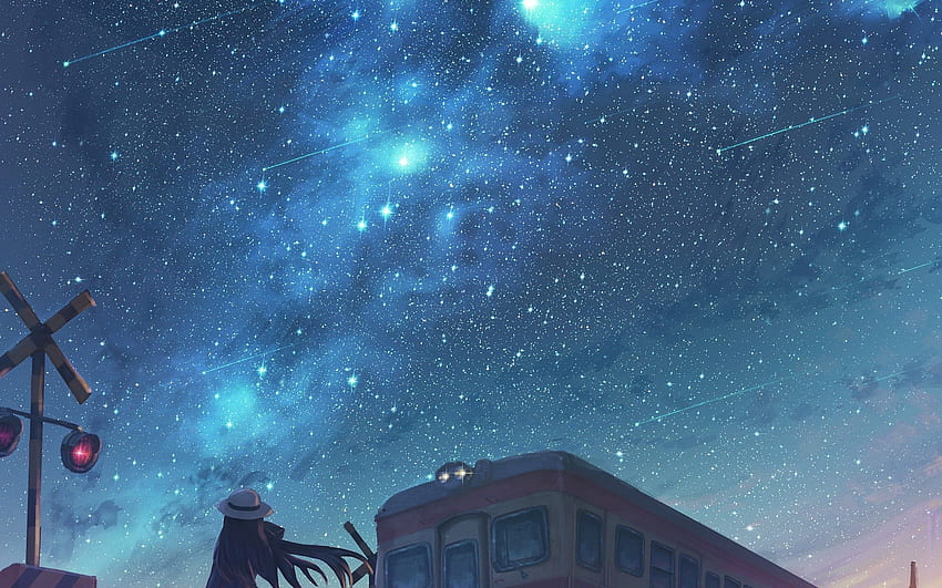Anime Starry Sky, Railroad Car, Mood, Anime Girl, Scenic, Falling Stars ...