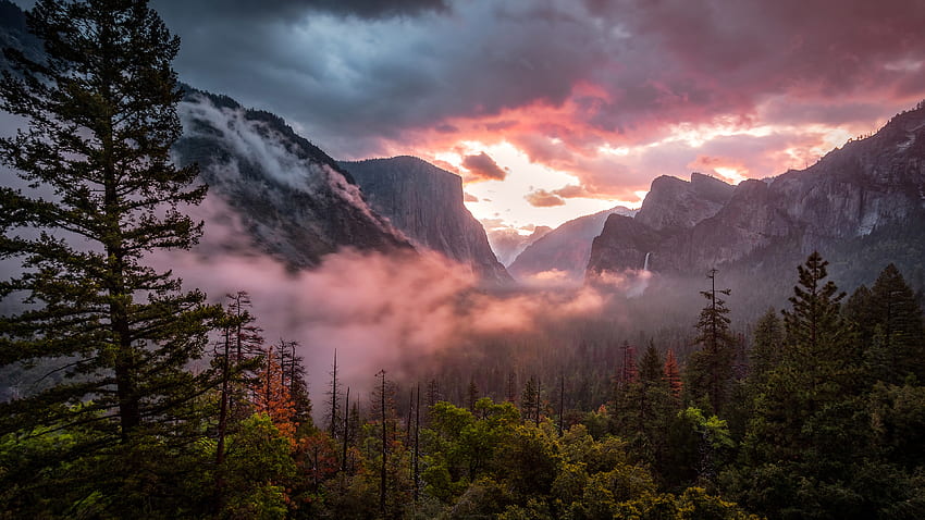 Misty Yosemite Valley, Parque Nacional, Niebla, Montañas fondo de pantalla