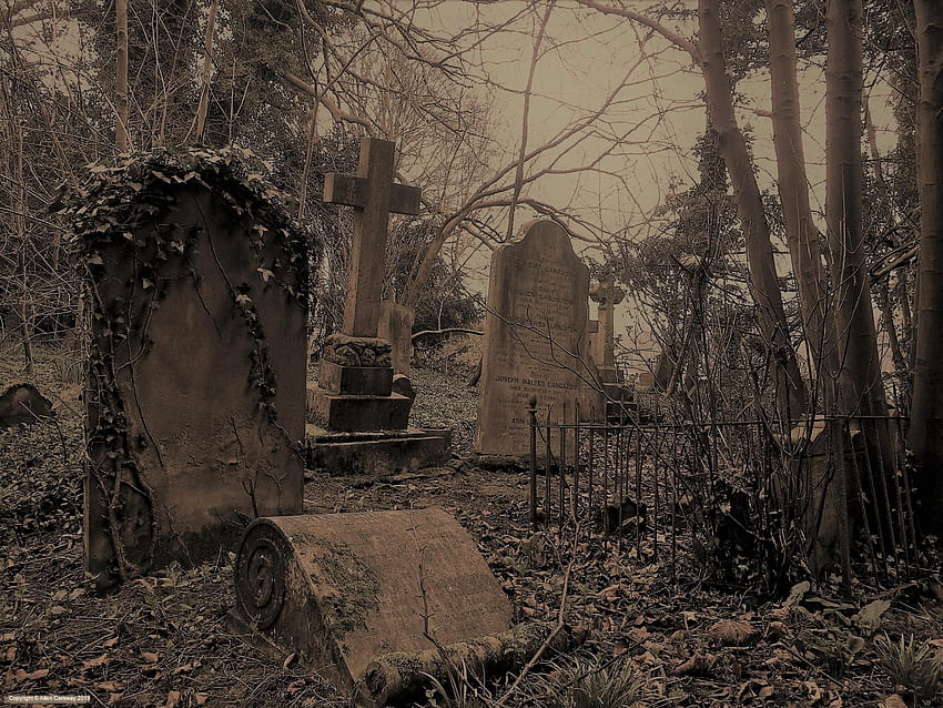 Another from the Gothic graveyard I found recently. More to come. HD wallpaper