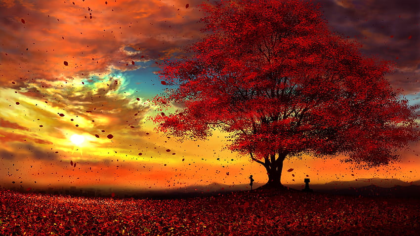 Scenery Anime Background Sunset - Novocom.top, Autumn Sunset Panoramic HD wallpaper