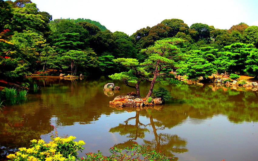 日本公園、日本、木々、京都、水、湖、公園、池 高画質の壁紙
