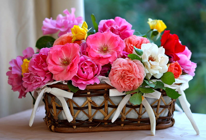 Flowers, Roses, Beauty, Disbanded, Loose, Buds, Lot, Basket, Different HD wallpaper