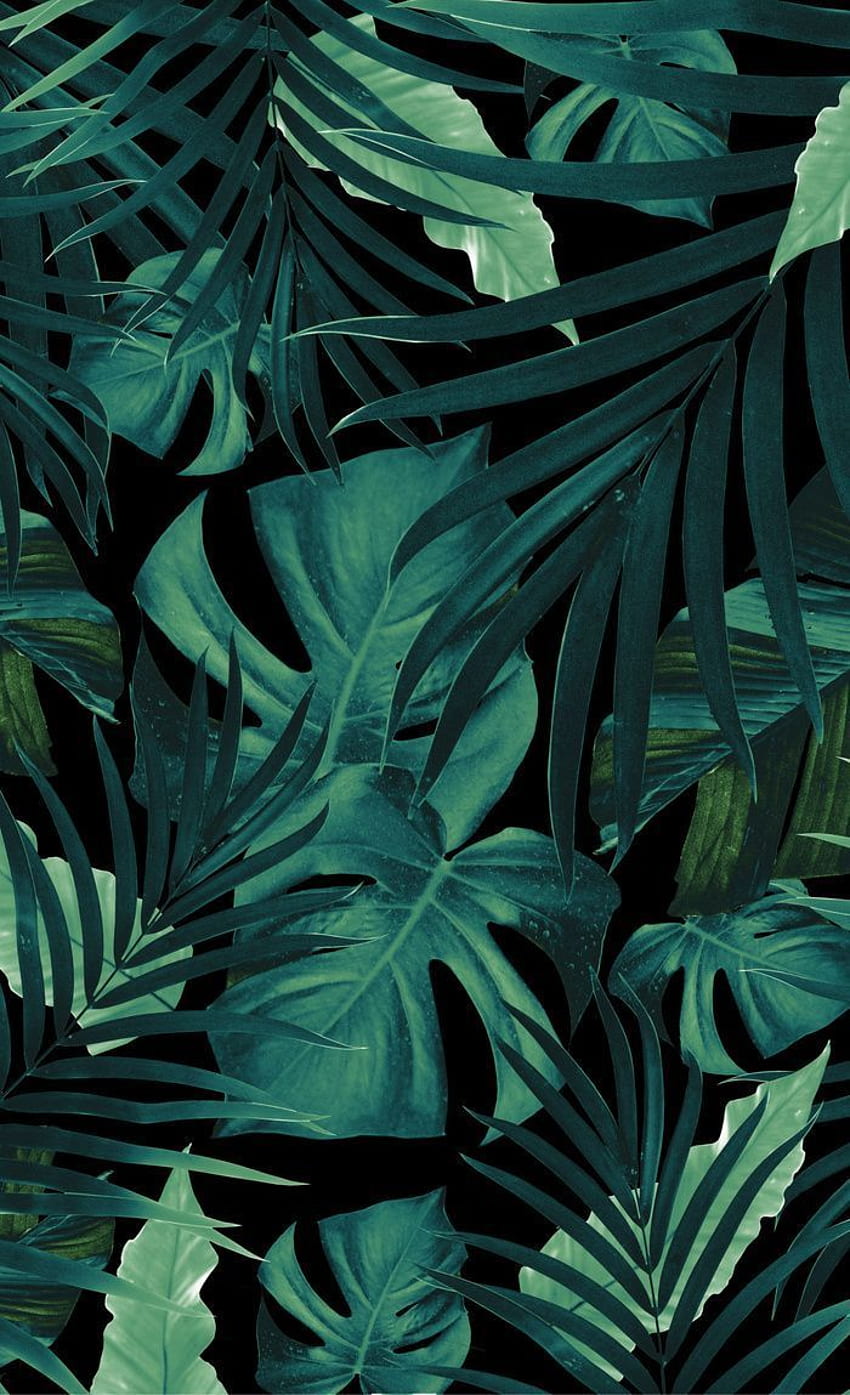 열대 정글 밤잎 패턴 HD 전화 배경 화면