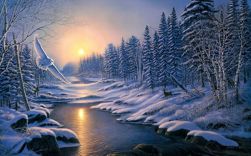 겨울 올빼미 Windows 8 . 멋진 겨울 눈 앞 주변 야생 동물의 자연 풍경입니다. 겨울 풍경, 겨울, 풍경, 북극 숲 HD 월페이퍼
