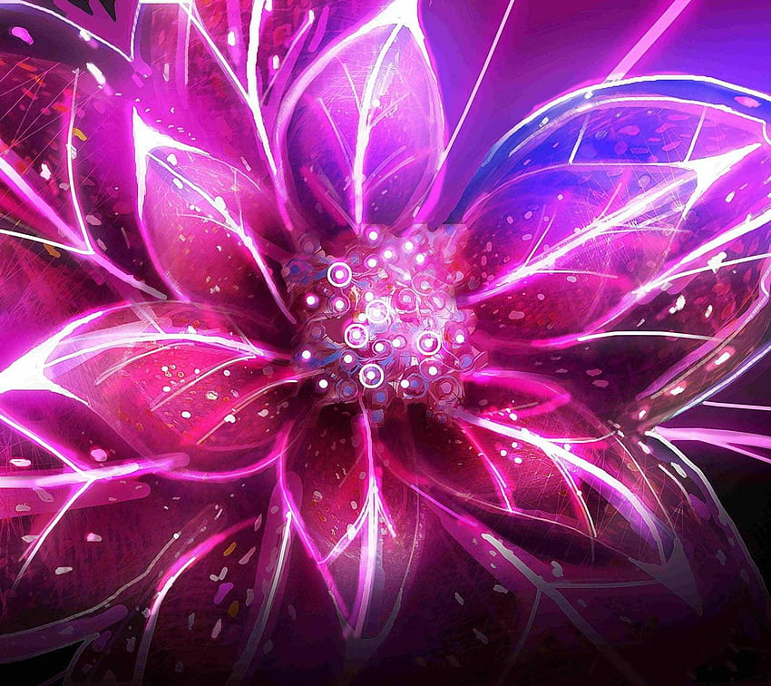 Neon pink flower, Black and Pink Abstract Flowers HD wallpaper