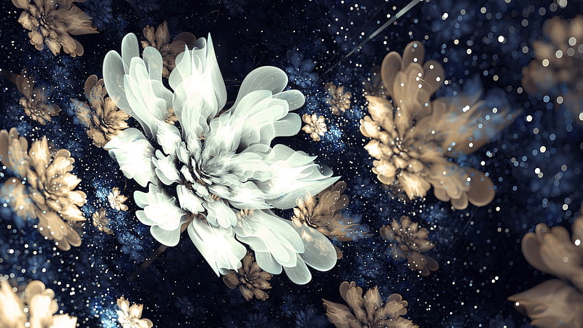 Blumen, Muster, Fraktal, abstrakt, Blumen HD-Hintergrundbild